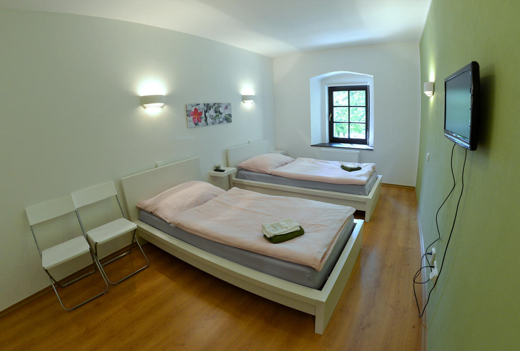 Pension N.10 Frymburk Room photo